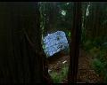 PDVD_586