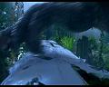 PDVD_607