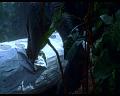 PDVD_623