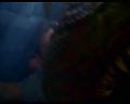 PDVD_630