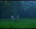 PDVD_640