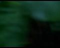 PDVD_644