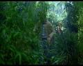 PDVD_650