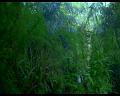 PDVD_651