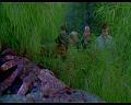 PDVD_660