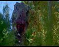 PDVD_664