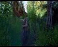 PDVD_669