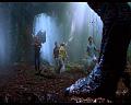 PDVD_674