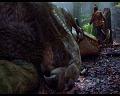 PDVD_703