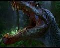 PDVD_708