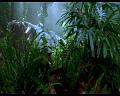 PDVD_761