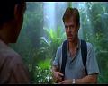 PDVD_800