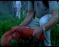 PDVD_841