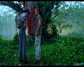 PDVD_854