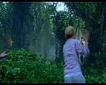 PDVD_895