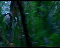 PDVD_907