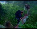 PDVD_929