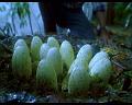 PDVD_942