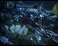 PDVD_946
