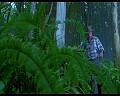 PDVD_971