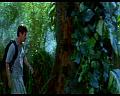 PDVD_981