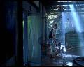 PDVD_988