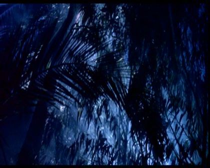 PDVD_003.jpg