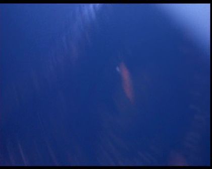 PDVD_060.jpg