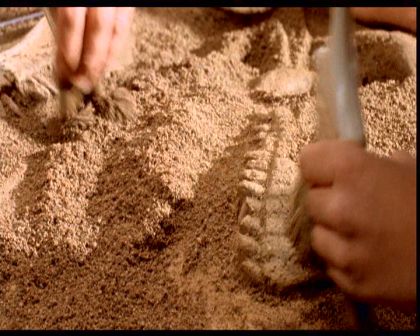 PDVD_104.jpg