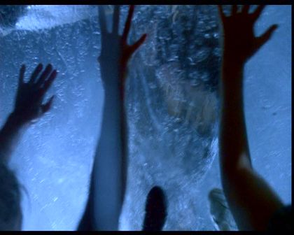 PDVD_1179.jpg