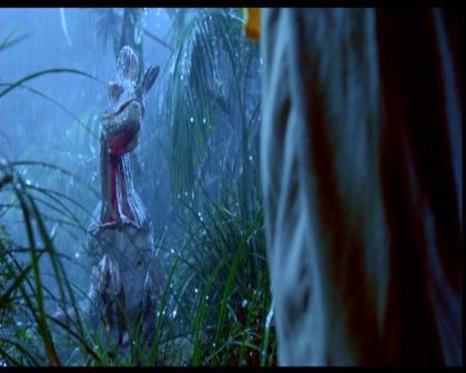 PDVD_1360.jpg