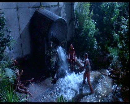 PDVD_1410.jpg