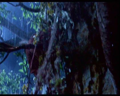 PDVD_1451.jpg