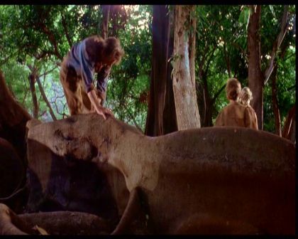 PDVD_1654.jpg