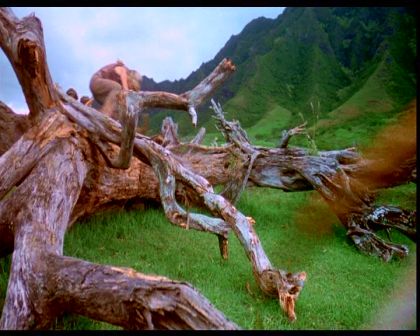 PDVD_1757.jpg