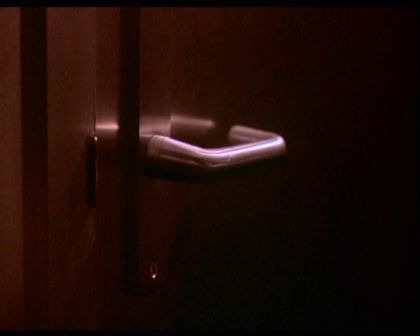 PDVD_2025.jpg