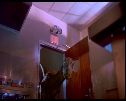 PDVD_2037.jpg