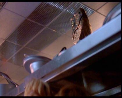 PDVD_2053.jpg
