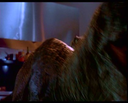 PDVD_2094.jpg