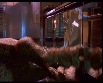 PDVD_2099.jpg