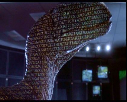 PDVD_2196.jpg