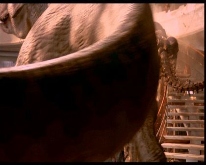 PDVD_2292.jpg
