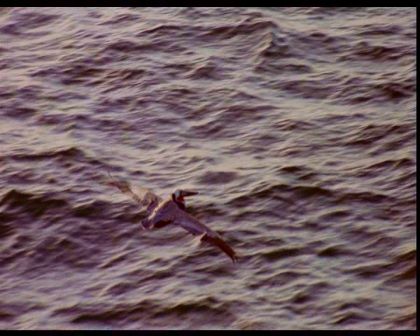 PDVD_2305.jpg