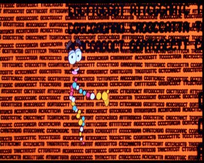 PDVD_425.jpg