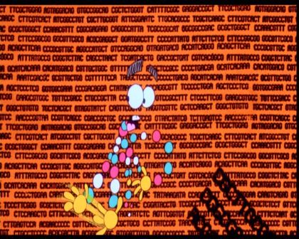 PDVD_428.jpg