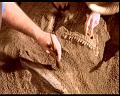 PDVD_105
