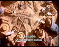 PDVD_107