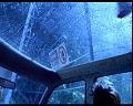 PDVD_1115