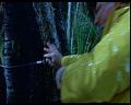 PDVD_1347