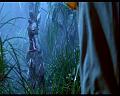 PDVD_1359